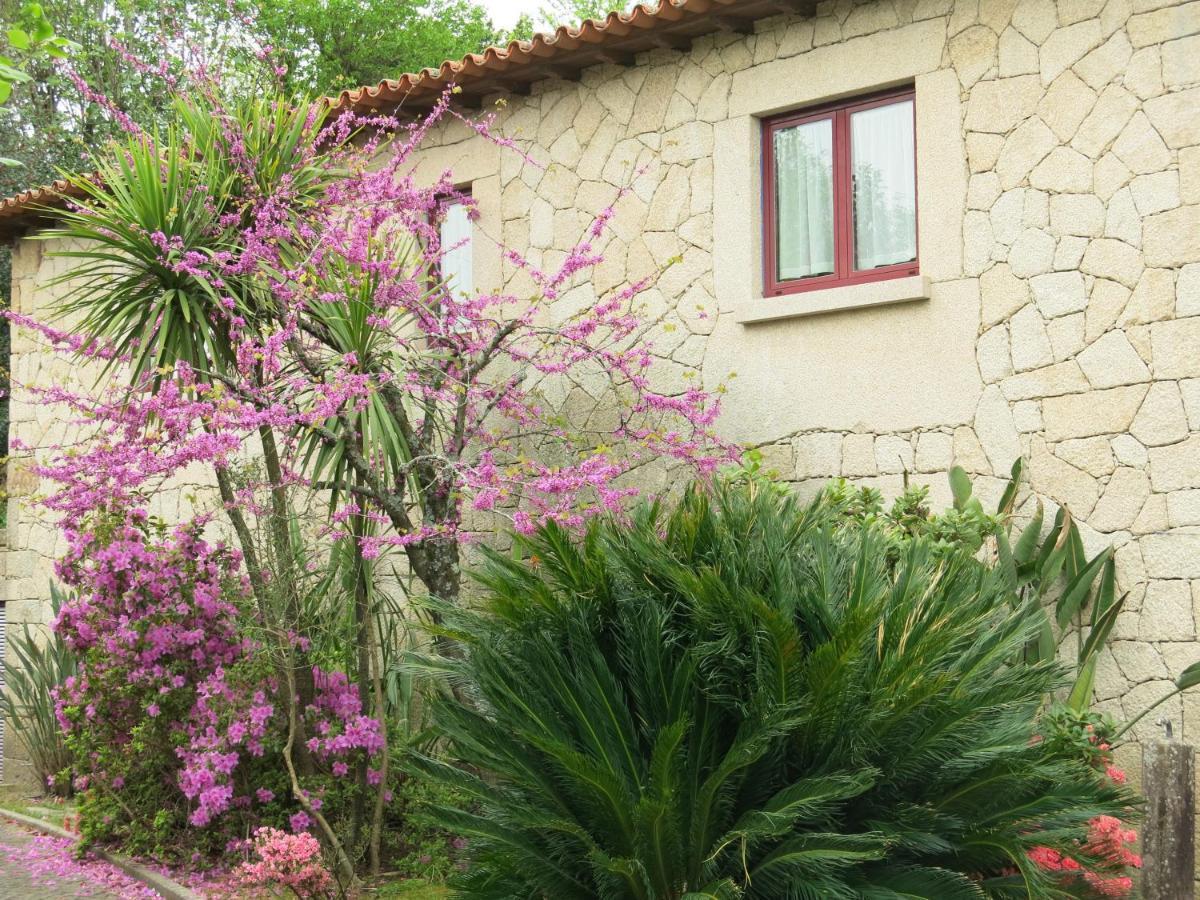 Villa Casa Dos Tinocos Braga Exterior foto